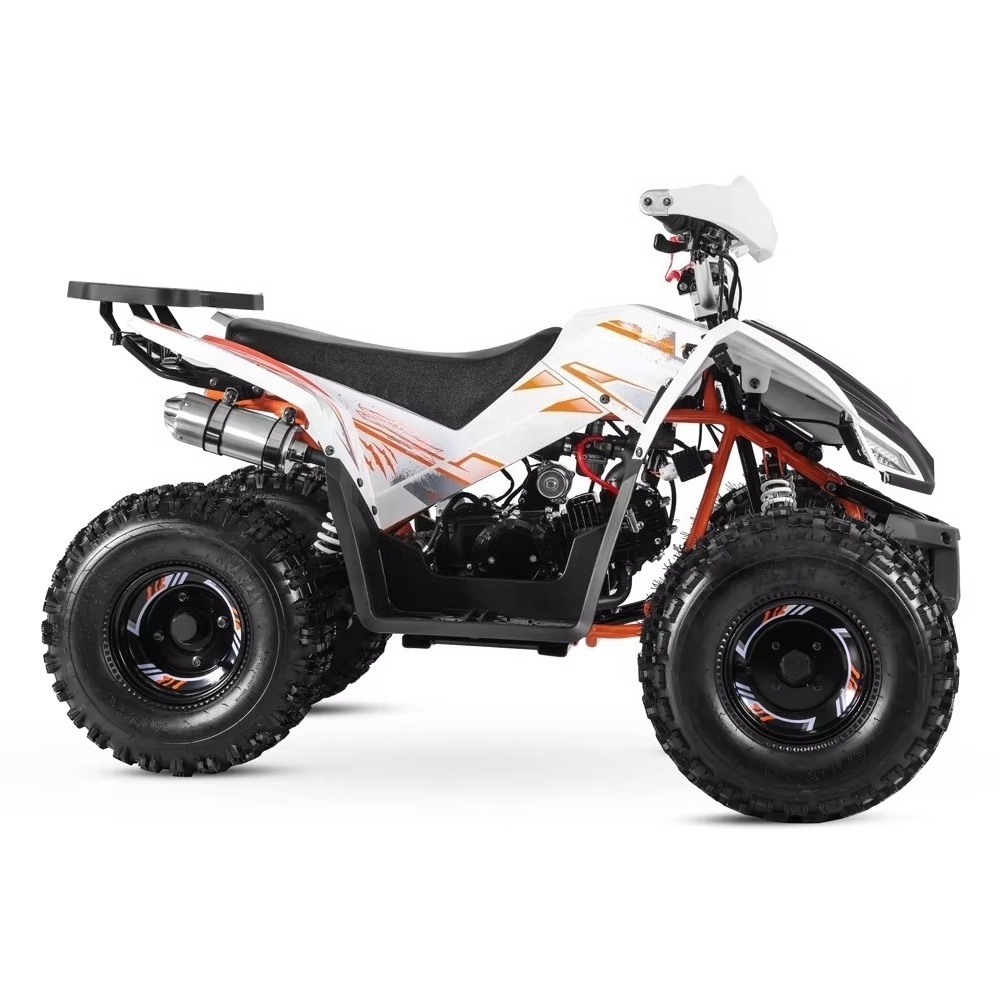Stlf Tao Motor 2026 New Sport  - Bike Chain review and price
